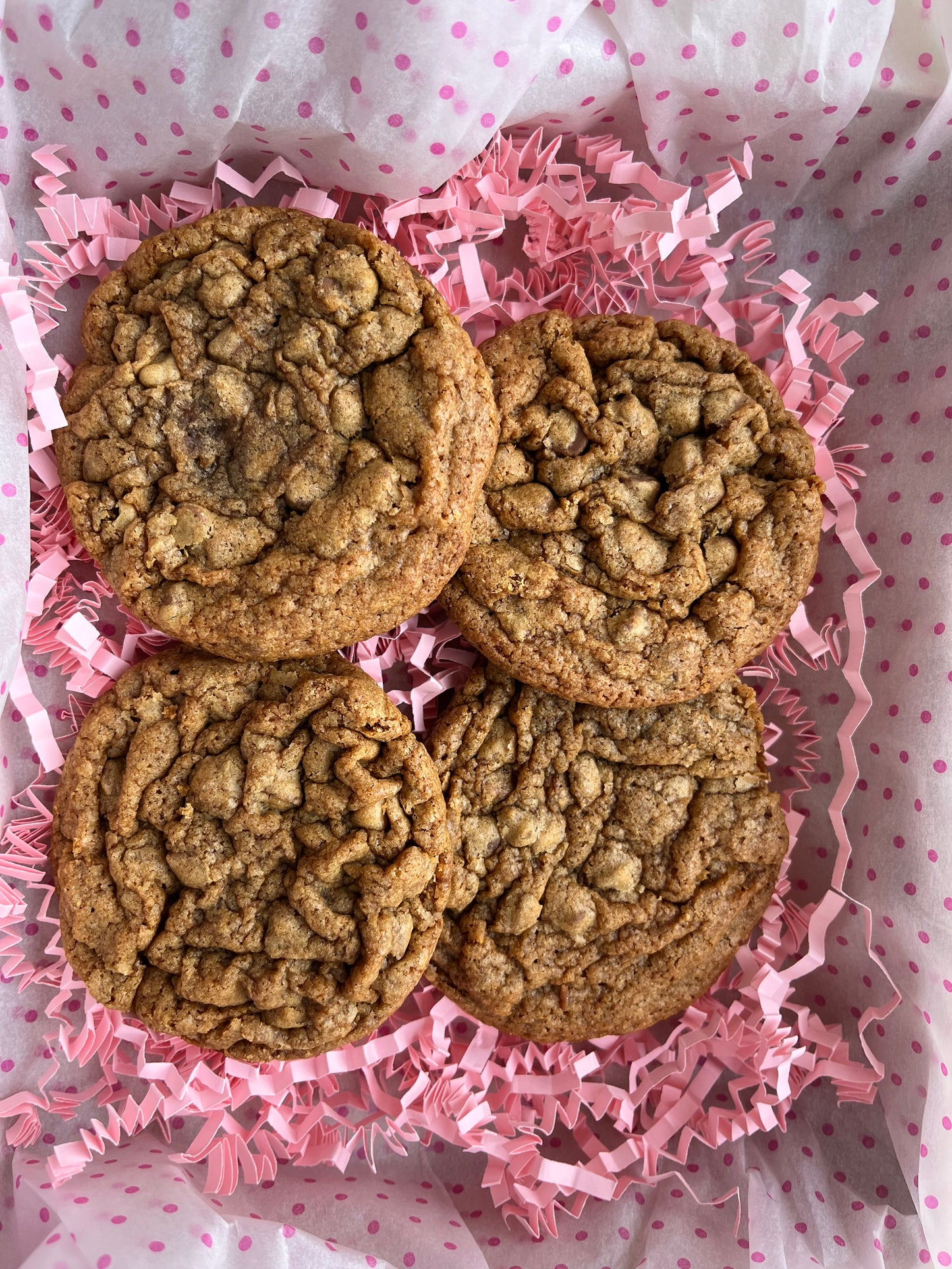 Chewy Chocolate Chip
